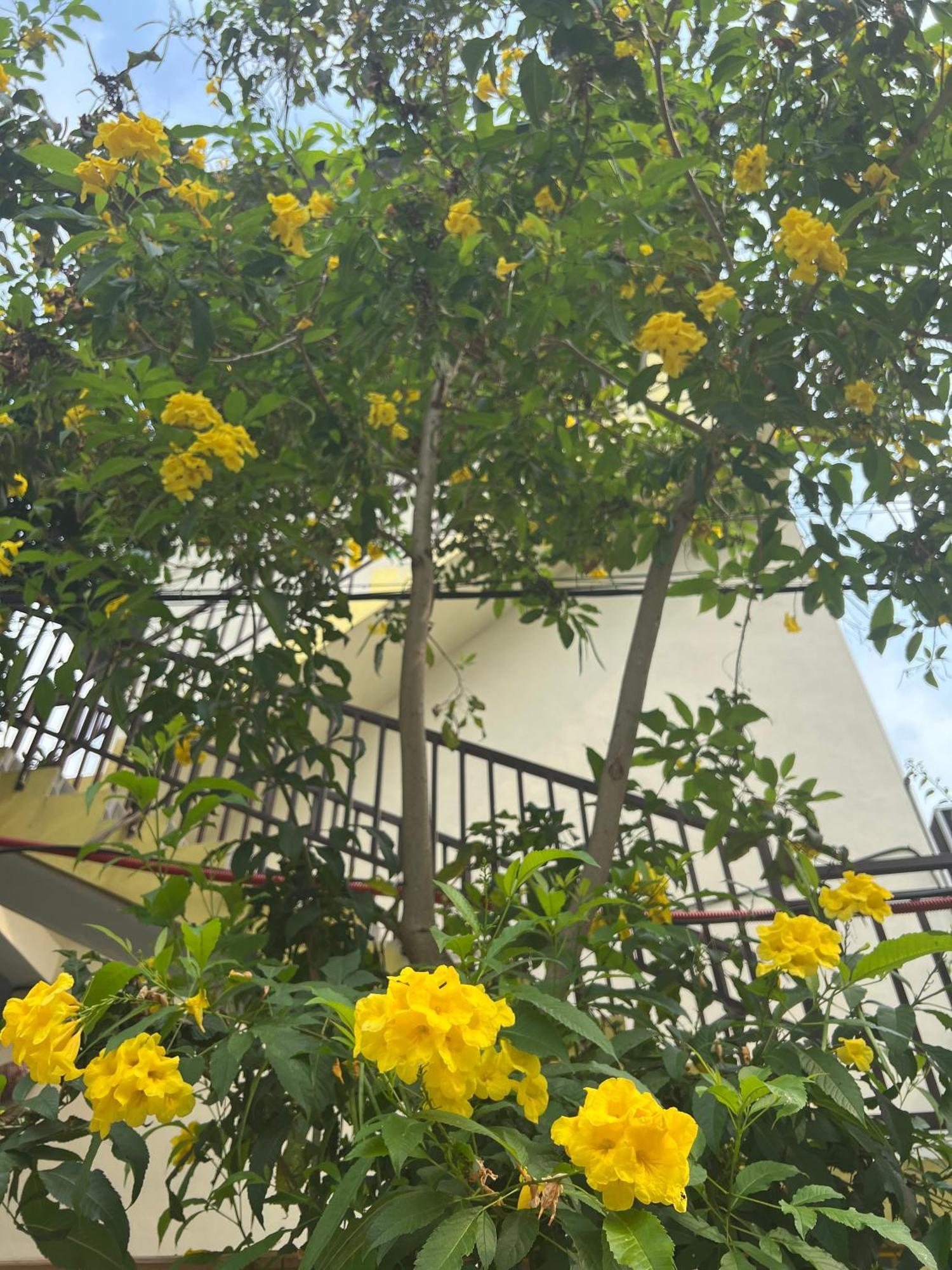Hakuna Matata Homestay Mai Châu Buitenkant foto